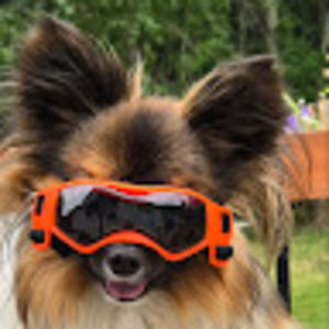 Meet your Posher, Veronica